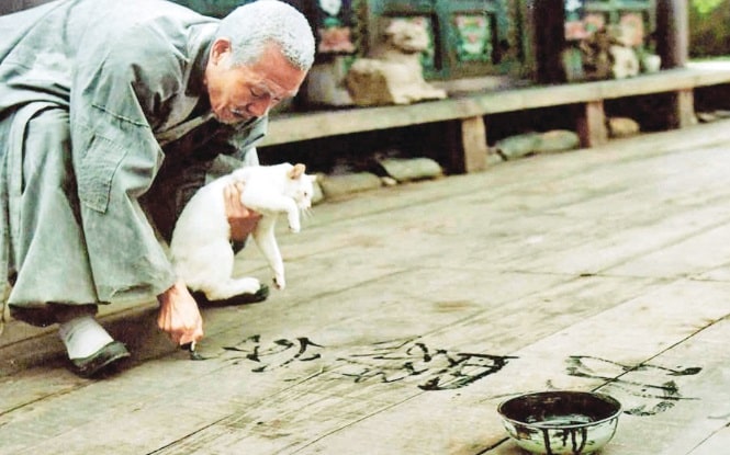 نگاهی تجربه‌گرایانه به سینمای سال‌های اخیر‌ کره؛ روز فرا می‌رسد