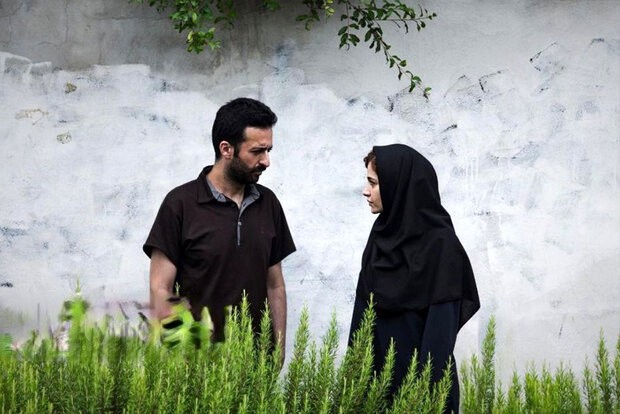 کاش حسام محمودی بابت تأخیر در اکران فیلم حلالمان کند/ عشق در«پروا»