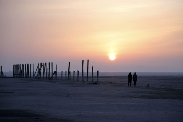  حضور «یاسا» در یک جشنواره آمریکا 