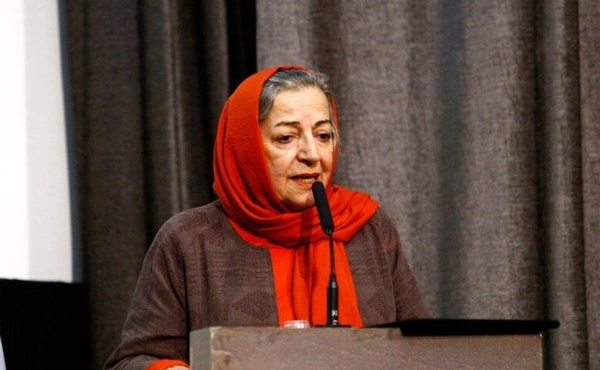 تا تشکیل سازمان نظام سینمایی صنوف خانه سینما در وزارت کار باقی می‌مانند 