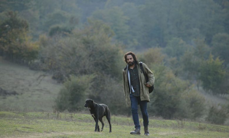 فیلم هوشنگ گلمکانی اکران می‌شود | «آهو» از هفته آینده در سینماها