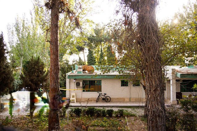 روایت پلیس از دقایق آخر در خانه داریوش مهرجویی/ تاکنون گزارشی از سرقت اعلام نشده است