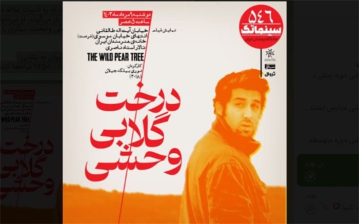 «درخت گلابی وحشی» در سینماتک خانه هنرمندان ایران