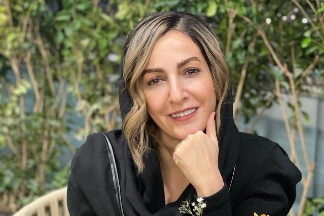 صدور قرار کفالت برای شقایق دهقان به دلیل کشف حجاب 