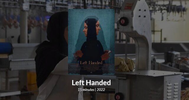  «چپ دست» در جشنواره مورد تایید آکادمی اسکار