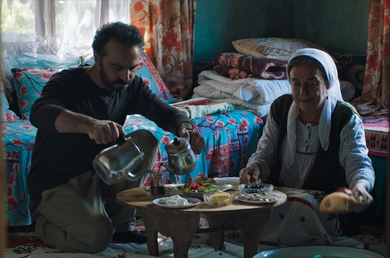 ۲۵ جایزه بین‌المللی در کارنامه فیلم «درخت خاموش»/محصول مشترک ایران و ترکیه 