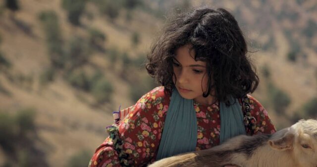  «میان صخره‌ها» در رقابت جشنواره سئول