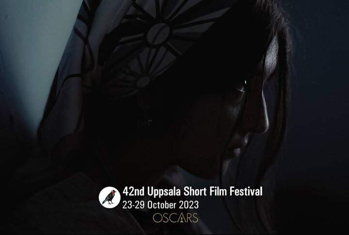 «سیزده سالگی» در جشنواره آپسلای سوئد 