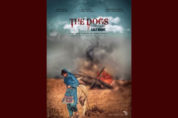 ادامه اکران‌های جشنواره‌ای «سگ‌ها دیشب نخوابیدند»/ فعلاً بیکارم!