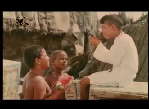  «سازدهنی» پس از سال ها در ونیز