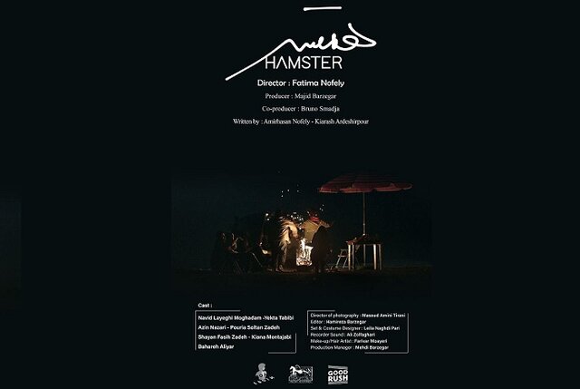  «همستر» به آمریکا می‌رود