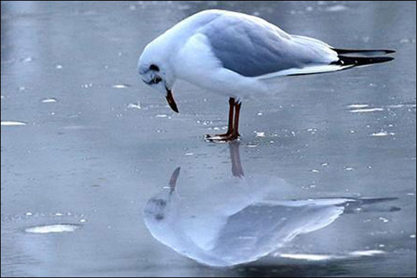 شهرام کرمی «خانه خورشید» را به  صحنه می آورد