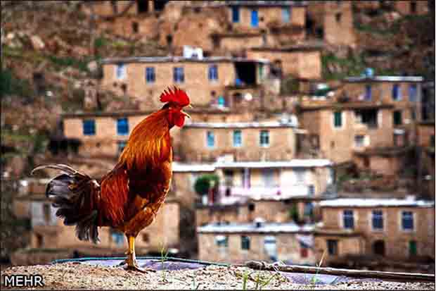 پیشنهاد نوروزی گلاب آدینه و تینو صالحی برای سفر نوروزی