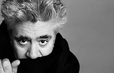 «زنان در آستانه فروپاشی عصبی» آلمادوار تئاتر می شود