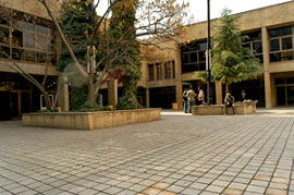 «شایعات» این‌بار نمایشنامه خوانی می‌شود