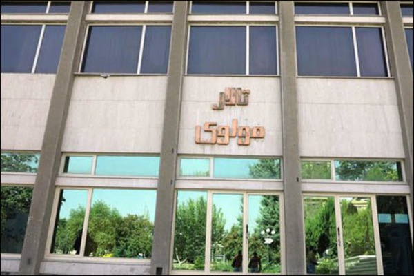 تئاتر مولوی در تدارک مراسم افتتاح