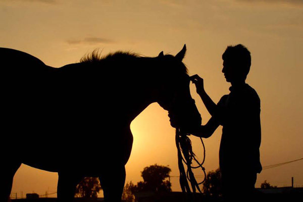 آغاز فروش اینترنتی مستند «آتلان»