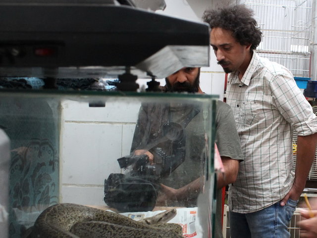 جدیدترین ساخته‌ی هادی آفریده رونمایی می‌شود