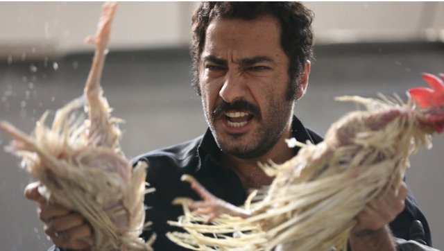 انتقاد شدید «جوان» از انتخاب اسکاری ایران