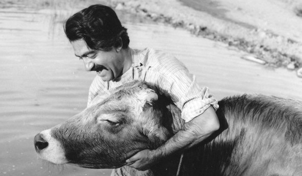 خاطره ناشنیده عزت‌ الله انتظامی از ساخت «گاو»