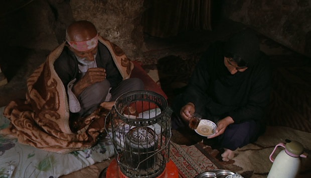 از مستند «بَرد» و شانس حضور در اسکار غفلت نکنید