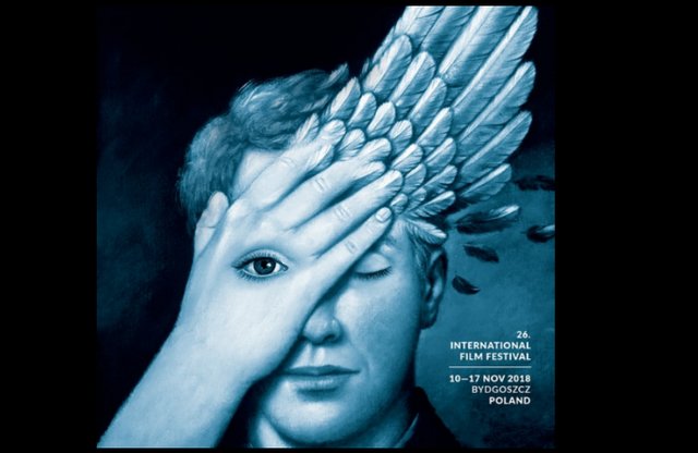 رقابت ۱۳ فیلم برای جایزه بهترین فیلمبرداری سال سینما