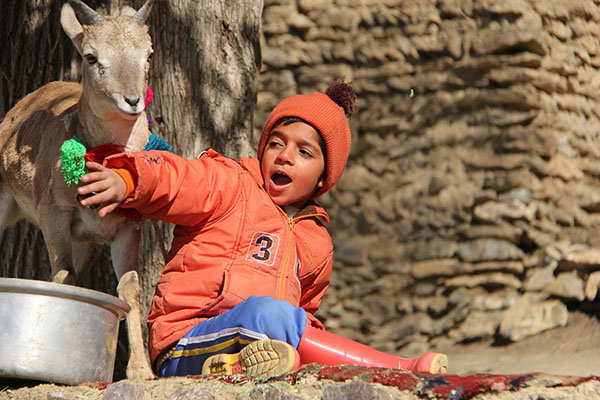 «اسکی باز» روی پرده سینما می‌رود