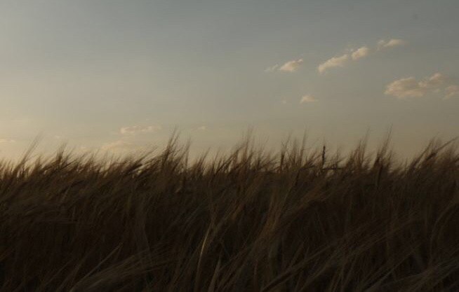 «تابستان» در سالن اصلی تئاتر مولوی