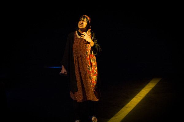 بلیت نیم‌بهای «برفک» به دانشجویان