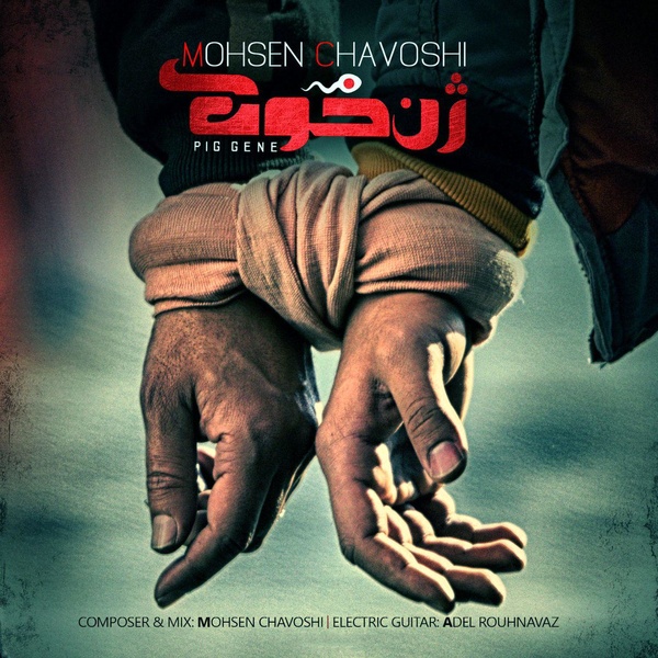 محسن چاوشی برای فیلم ژن خوک خواند +صوت و فیلم