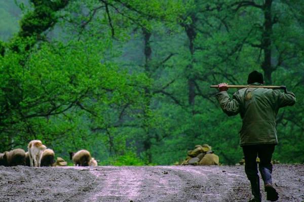 معرفی فیلمهای بخش ویژه نهمین جشنواره بین المللی فیلم وارش