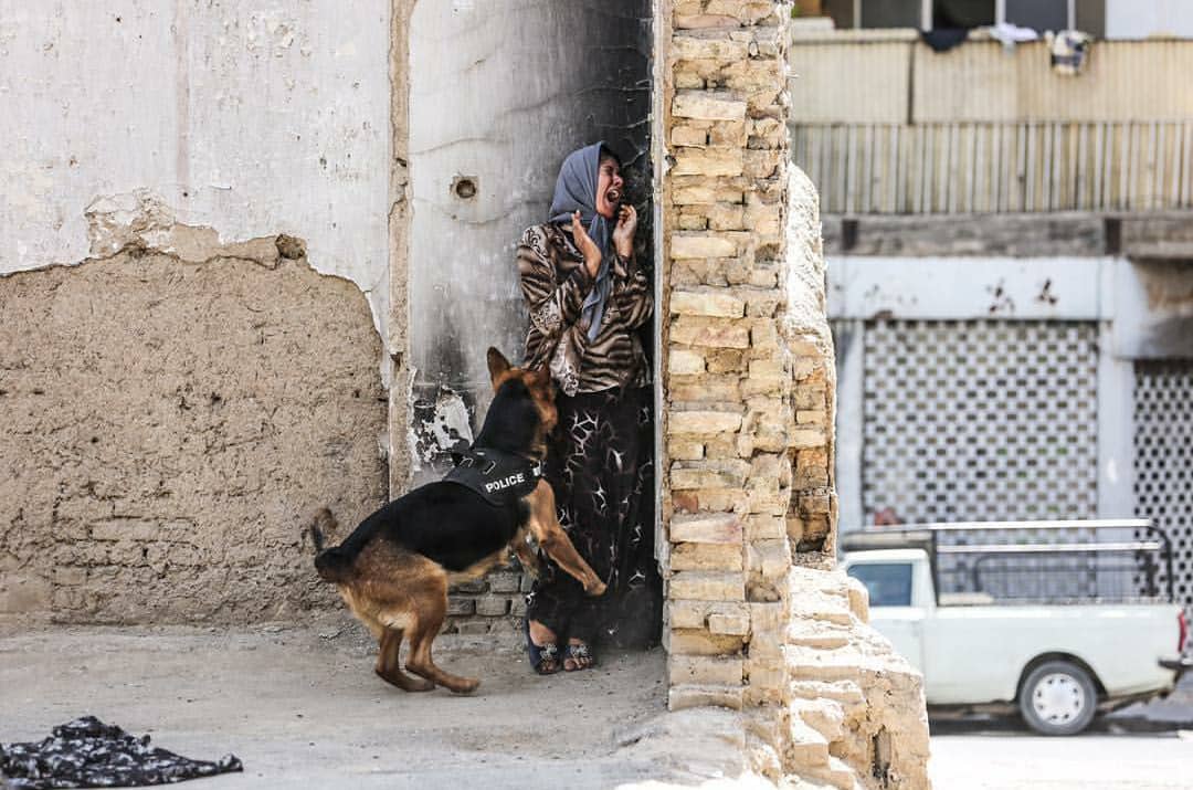 دوست داشتن یا نداشتنِ ضد قهرمانی که با کفش می خوابد