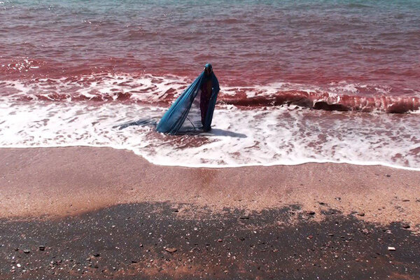 نمایش مستند «جنبل» در رویداد «شاعرانه» باربیکن لندن