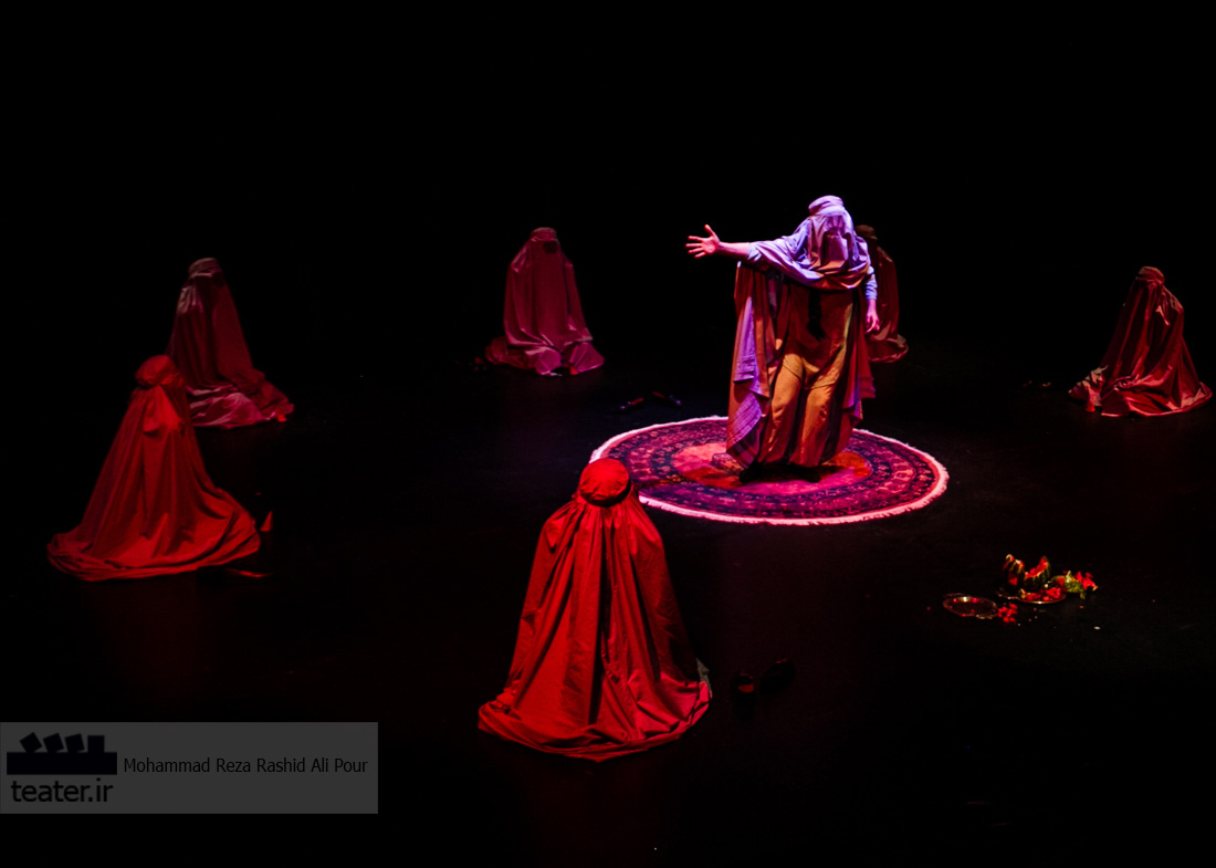 بیوه سیاه، بیوه سفید در کانون ملی منتقدان نقد می‌شود