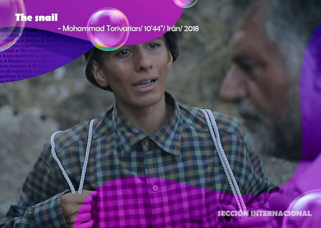 «حلزون» تنها نماینده ایران در جشنواره کشور آرژانتین