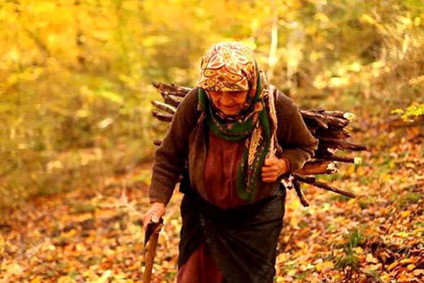 آسیا پاسیفیک میزبان «دلبند» ایرانی شد آسیا پاسیفیک میزبان «دلبند» ایرانی شد