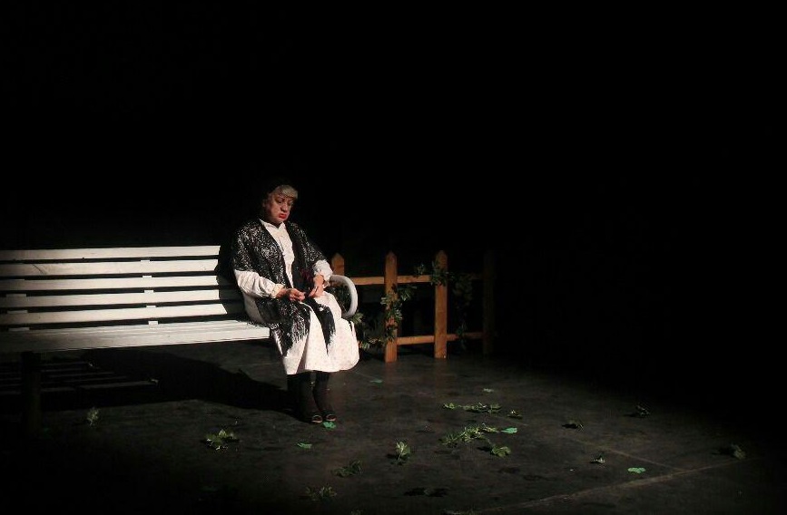 ناهید مسلمی: بازی در نمایش «یک زن و یک مرد» محکی جدی برای من بود