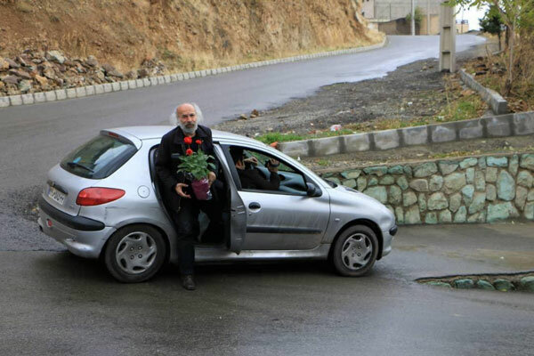 اکران «همراه با باد» در «هنر و تجربه»