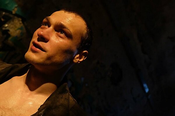 جشنواره ملی فیلم‌های روسی برندگانش را شناخت/ «گاو نر» جایزه گرفت