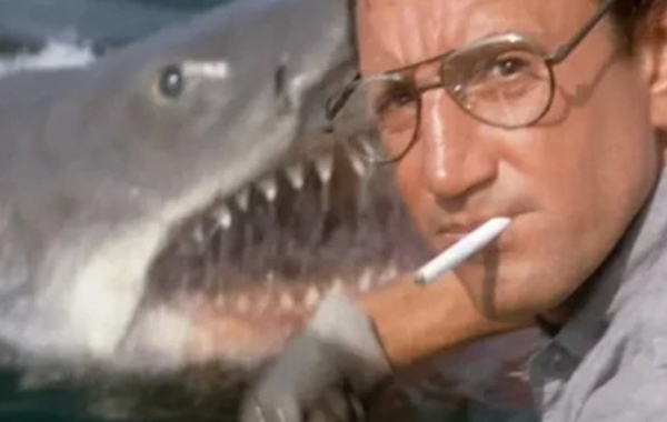 ۱۰. «آرواره ها» (Jaws)؛ بهترین فیلم های ترسناک دهه ۱۹۷۰