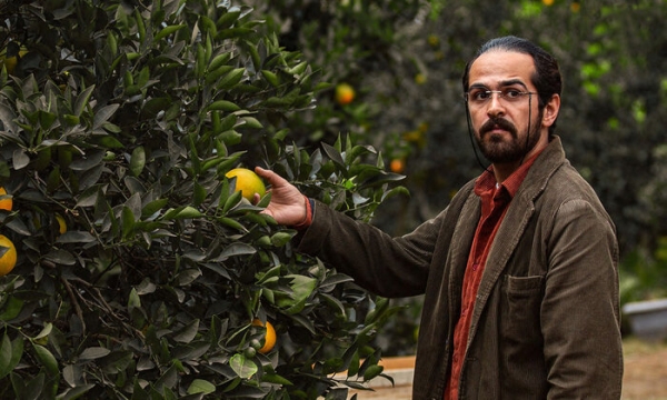 سعید مولویان در فیلم جنگل پرتقال