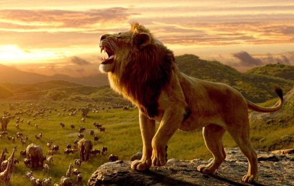 ۱۳. موفاسا: شیرشاه (Mufasa: The Lion King)؛ سرگذشت موفاسا در یکی از بهترین فیلم‌های انیمیشنی ۲۰۲۴ توسط سیمبا روایت می‌شود
