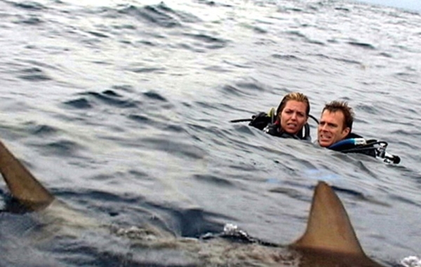۱۰) هنگام فیلمبرداری «آب‌های آزاد» (Open Water) بازیگران به مدت ۱۲۰ ساعت در آب‌های اقیانوس واقعی و پر از کوسه شنا کردند۱۰) هنگام فیلمبرداری «آب‌های آزاد» (Open Water) بازیگران به مدت ۱۲۰ ساعت در آب‌های اقیانوس واقعی و پر از کوسه شنا کردند