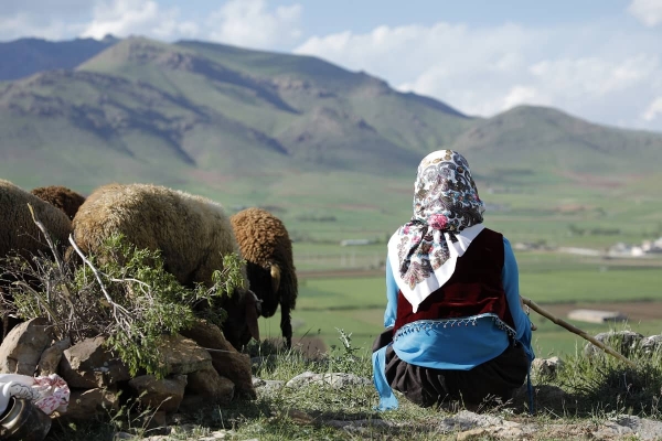 فیلم کوتاه «دشت می‌خواند» به بخش مسابقه جشنواره دلا لسینیا ایتالیا راه یافت