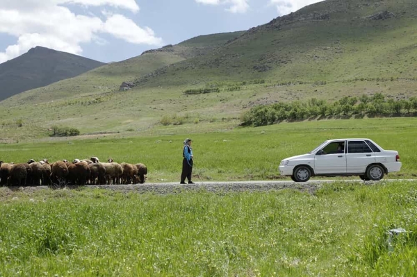 فیلم کوتاه «دشت می خواند» برنده جشنواره ایدرومنوی آلبانی شد