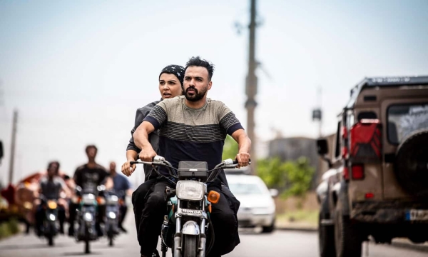 نقد فیلم «گوزن های اتوبان»؛ بازنمایی ناکافی تقلا برای شهرت در ویرانشهر اینستاگرام