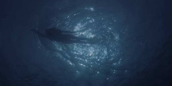 ۱۰ مرگ معروف و ماندگار در تاریخ فیلمهای ترسناک | از هالووین تا موروثی