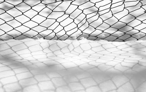 چرا عکس‌های عباس کیارستمی جهانی و پرفروش شدند؟؛ رمزگشایی از نگاه مینیمالیستی استاد