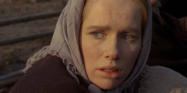 مهاجران و سرزمین نو