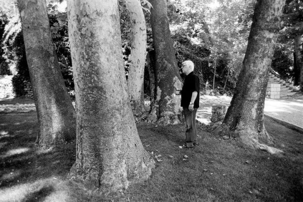 در ستایش بهرام بیضایی، افرای تنومندِ فرهنگ و درام ایران